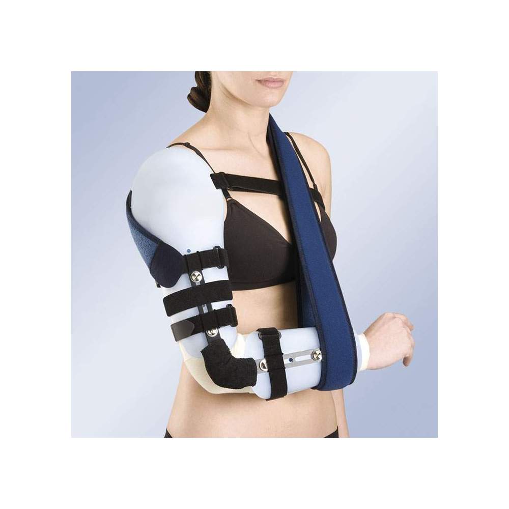 Prothèses d'avant-bras  Ortho applications - Orthoapplications